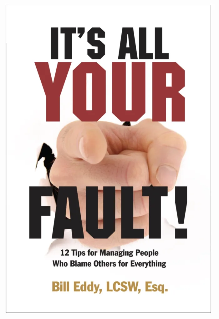 Cover of It's All Your Fault!